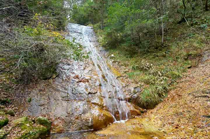 �@���J�E��̑�